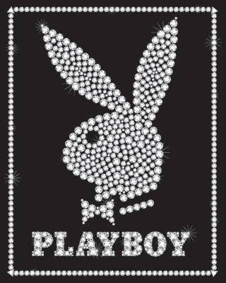 A reporter at the Jerusalem Post wrote something today concerning a Playboy